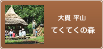 大貫 平山 「てくてくの森」