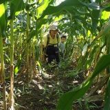 o0408054413055674986