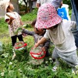 チラシ素材写真２